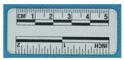  5厘米白色磁性比例尺